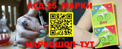 шишки Новокубанск