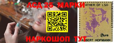 шишки Новокубанск