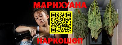 шишки Новокубанск