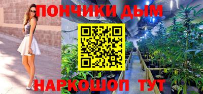 шишки Новокубанск