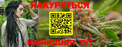 шишки Новокубанск