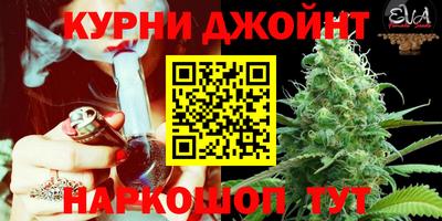 mdma Новозыбков