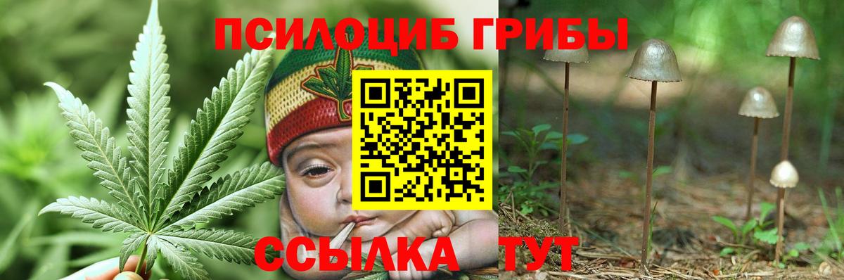 Галлюциногенные грибы Psilocybe  Вход с VPN  Новокубанск 